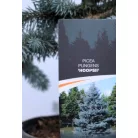 Ezüstfenyő Picea pungens Hoopsii C3