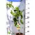 Füge Ficus carica FC17 C2.5