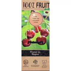 Regina cseresznye Prunus avi. Regina P15