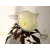 Mocsári hibiszkusz Hibiscus moscheutos Summerific Cookies and Cream D17