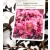 Kínai selyemmirtusz Lagerstroemia Black Diamond® Purely Purple