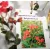 Kínai selyemmirtusz Lagerstroemia indica Liget Paprika K3