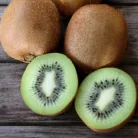 Termős kivi Actinidia deliciosa Hayward K3