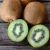 Termős kivi Actinidia deliciosa Hayward K3