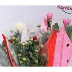 Kerti krizantém Chrysanthem gem 5-6 kl 9 cm cserép