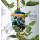 Tüskétlen szeder Rubus fruticosus Loch Ness K3