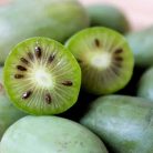 Öntermékeny kopasz kivi Actinidia arguta 'Issai'