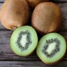 Kivi termős Actinidia deliciosa termős 80 cm