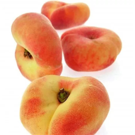 Sandwich Gelb őszibarack