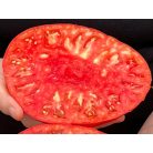 Befőző paradicsom – Supersteak F1