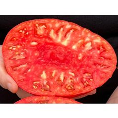Befőző paradicsom – Supersteak F1