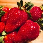 Lycia eper 7x7 cm-es cserépben