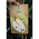 Trópusi gyümölcsfa válogatás_GRAFTED Tropica fruit tree P7_Chirimoya, Guayabito púrpura, Ananász, Guayaba Stone Ruby, Carambola