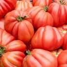 Zöldségpalánták 12 cm-es szürke cserépben - Paradicsom palánták