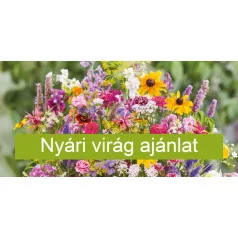 Aktuális növények